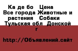 Ка де бо › Цена ­ 25 - Все города Животные и растения » Собаки   . Тульская обл.,Донской г.